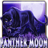 Panther Moon